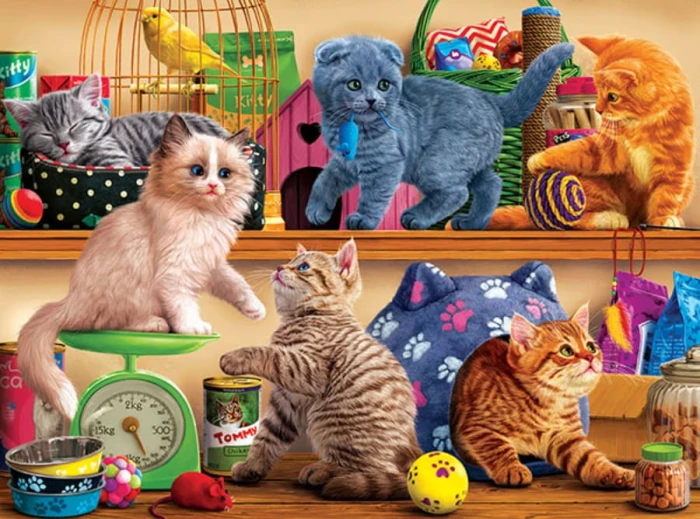 pet-shop-kittens-jigsaw-puzzle-1000-pieces.92841-1.fs.jpg
