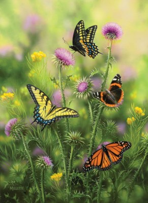 SunsOut 500 - Butterflies & Thistle