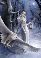 art-puzzle-anne-stokes-midnight-messenger-jigsaw-puzzle-1000-pieces.93033-1.fs.jpg
