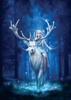art-puzzle-anne-stokes-fantasy-forest-jigsaw-puzzle-1000-pieces.93043-1.fs.jpg