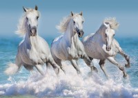 bluebird-puzzle-horse-paradise-jigsaw-puzzle-1500-pieces.91475-1.fs.jpg
