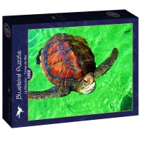 bluebird-puzzle-la-reunion-tortue-de-mer-jigsaw-puzzle-1000-pieces.92041-2.fs.jpg