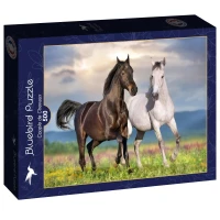 bluebird-puzzle-couple-de-chevaux-jigsaw-puzzle-500-pieces.91473-2.fs.jpg