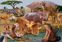 bluebird-puzzle-kilimanjaro-jigsaw-puzzle-1000-pieces.92928-1.fs.jpg