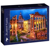 bluebird-puzzle-roman-forum-jigsaw-puzzle-1000-pieces.91091-2.fs.jpg