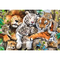 20152_150_02.webp