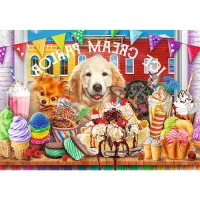 10699_150_02.webp