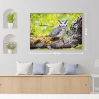 wild-owl-jigsaw-puzzle-1000-pieces.92174-2.fs.jpg