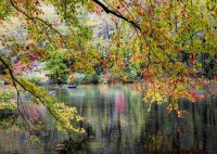alipson-puzzle-branches-on-the-edge-of-the-river-jigsaw-puzzle-1000-pieces.93282-1.fs.jpg