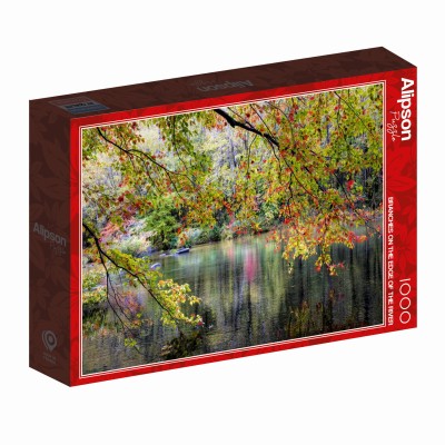 Alipson 1000 - Branches On the Edge of the River