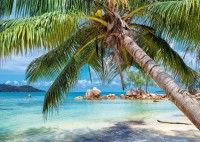 alipson-puzzle-plage-tropicale-jigsaw-puzzle-1000-pieces.93274-1.fs.jpg