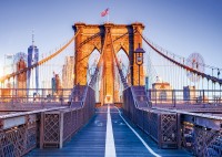 alipson-puzzle-brooklyn-new-york-jigsaw-puzzle-1000-pieces.93264-1.fs.jpg