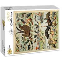 illustration-du-larousse-pour-tous-oiseaux-xixe-siecle-puzzle-1000-pieces_46873-2_fs.jpg
