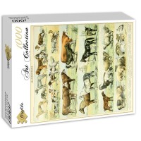 illustration-du-nouveau-larousse-illustre-mammiferes-xixe-siecle-puzzle-1000-pieces_46876-2_fs.jpg