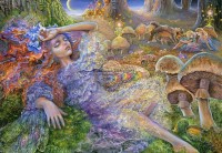 after-the-fairy-ball-jigsaw-puzzle-1000-pieces.92459-1.fs.jpg
