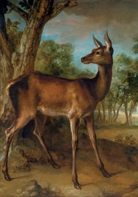 Grafika 1000 - Jean-Baptiste Oudry: Biche aux Augets, 1729