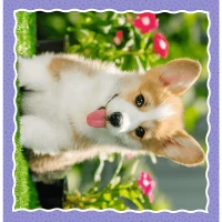 34854_150_04.webp