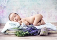 konrad-bak-baby-lavender-jigsaw-puzzle-1000-pieces_55660-1_fs.jpg