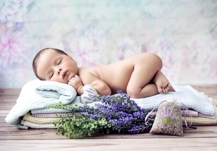 konrad-bak-baby-lavender-jigsaw-puzzle-1000-pieces_55660-1_fs.jpg