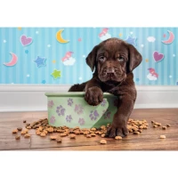29754.PT01_0b269cad-a095-4577-ba79-45e6cc6b633f_720x.webp