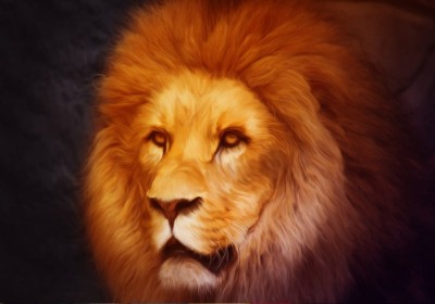 Grafika 1000 - Lion (Lew)
