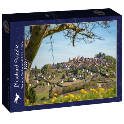 Bluebird 1000 - Sancerre, Centre-Val de Loire, France