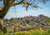 bluebird-puzzle-sancerre-centre-val-de-loire-france-jigsaw-puzzle-1000-pieces.93872-1.fs.jpg