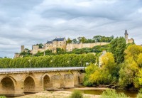 bluebird-puzzle-forteresse-royale-de-chinon-france-jigsaw-puzzle-1000-pieces.93737-1.fs.jpg