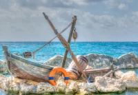 bluebird-puzzle-costa-maya-jigsaw-puzzle-1000-pieces.92332-1.fs.jpg