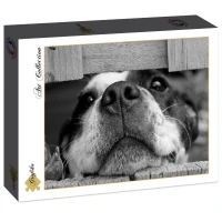 dog-jigsaw-puzzle-2000-pieces.86533-2.fs.jpg