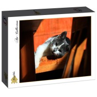 kitten-jigsaw-puzzle-2000-pieces.86532-2.fs.jpg