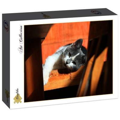 Grafika 2000 - Kitten