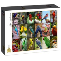 collage-worlds-most-beautiful-birds-jigsaw-puzzle-1500-pieces.86256-2.fs.jpg