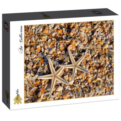 Grafika 2000 - Shells and Starfish