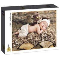 konrad-bak-baby-and-owl-jigsaw-puzzle-2000-pieces.86607-2.fs.jpg