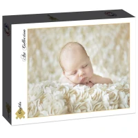 konrad-bak-baby-sleeping-in-the-roses-jigsaw-puzzle-2000-pieces.86602-2.fs.jpg