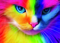 chat-colore-jigsaw-puzzle-500-pieces.94043-1.fs.jpg