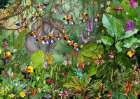 francois-ruyer-jungle-jigsaw-puzzle-500-pieces.89214-1.fs.jpg