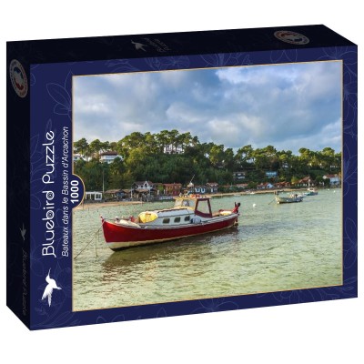 Bluebird 1000 - Bateaux dans le Bassin d'Arcachon