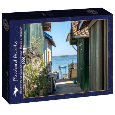 Bluebird 1000 - Ruelle entre les Cabanes Ostreicoles, Bassin d'Arcachon