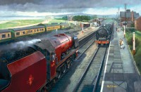 pol_pl_Puzzle-500-el-Stacja-kolejowa-Hest-Bank-9189_2.jpg