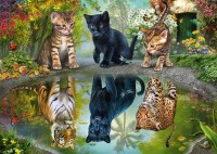 pol_pl_PQ-Puzzle-1000-el-Miej-wielkie-marzenia-9148_2.jpg