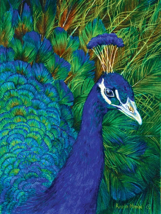 karla-mann-peacock-jigsaw-puzzle-1000-pieces.82339-1.fs.jpg