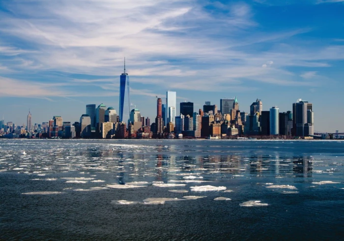 new-york-jigsaw-puzzle-1000-pieces_53001-1_fs.jpg