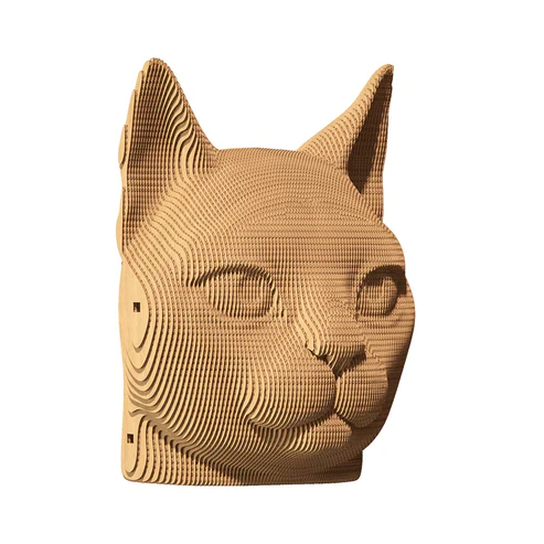 06-cc-cat-1000x1000.webp