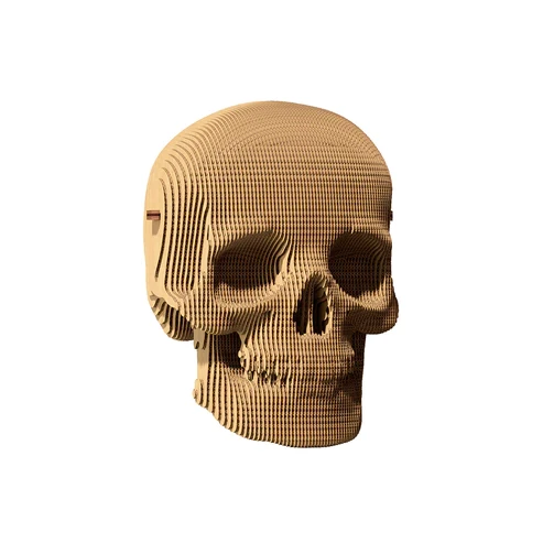 05-cc-skull1000x1000.webp
