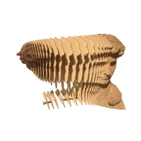 03-cc-david-1000x1000.webp