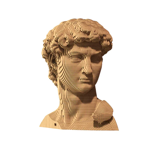 06-cc-david-1000x1000.webp