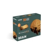 04-cc-brain-1000x1000.webp