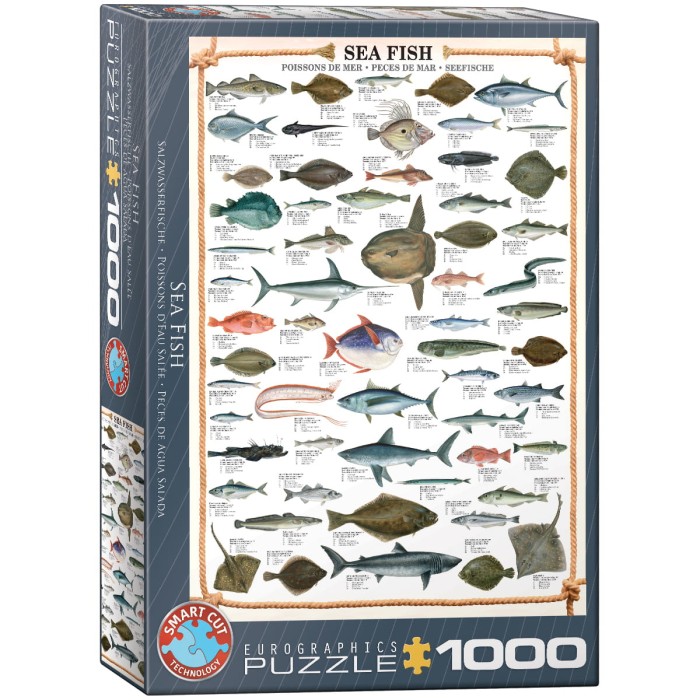 csPhotos_Photo_B977BECC-6C80-45AB-B23F-03AAF924EC7F_1.png